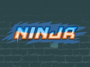 Ninja